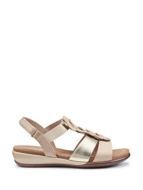 Hotter Natural Pamplona Touch Fastening Regular Fit Sandals